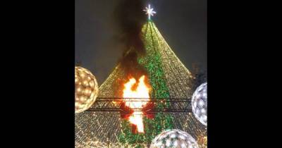 "Елочка, гори!" В центре Киева зажгли огни на главной елке. Сразу же вспыхнул мини-пожар
