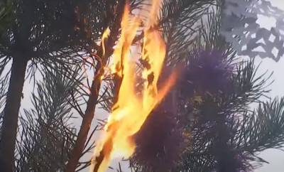 Под Херсоном новогодняя елка сгорела на глазах изумленных людей: момент ЧП попал на видео
