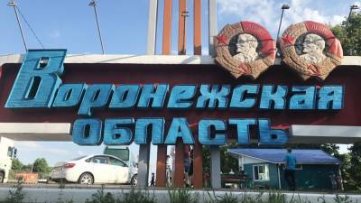 Жители Нововоронежа боятся гулять по ночам из-за памятника Аленке