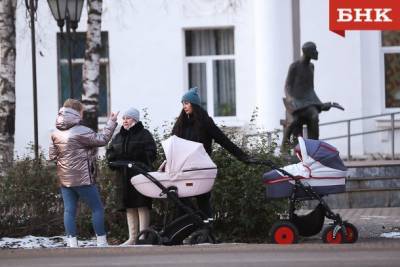 В России предложили сделать материнство работой