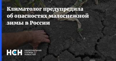 Климатолог предупредила об опасностях малоснежной зимы в России