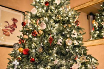 В России меняются правила установки новогодней елки – Учительская газета