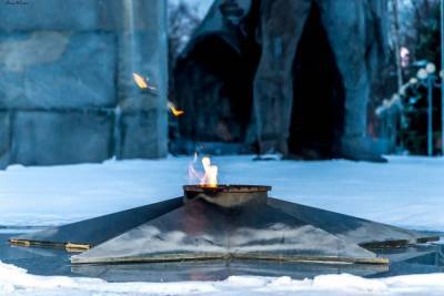 В Петербурге задержали девочек, забросавших Вечный огонь снежками
