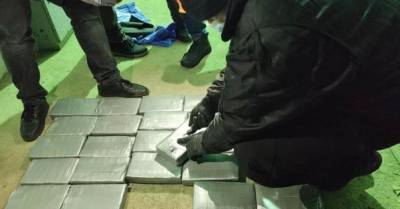 В Одесской области таможенники изъяли партию кокаина на $12 млн (ФОТО, ВИДЕО)