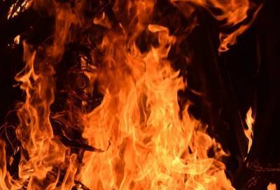 Двое пострадали при пожаре в частном доме в Гатчинском районе