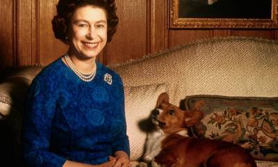 Елизавета II и ее корги: история главной королевской страсти