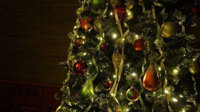 Церемонии открытия новогодних елок прошли в пяти городах ЛНР