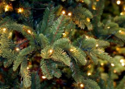 В России с 1 января вступят в силу новые требования к установке новогодней елки