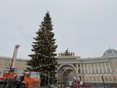 Церемония включения Главной елки пройдет в Петербурге в воскресенье