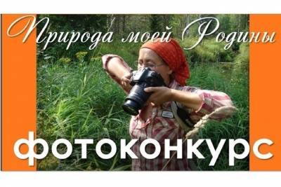Костромские фотографы поразили жюри конкурса «Природа моей Родины»