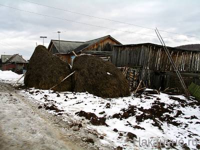 В Ленинградской области произошёл взрыв в жилом доме