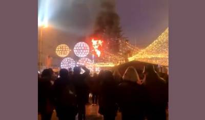 Главная елка Украины загорелась на церемонии открытия