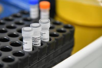 В России провели более 85,9 млн тестов на коронавирус