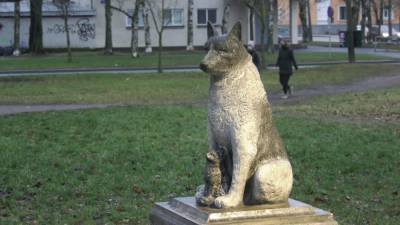 Памятник бродячему псу установили в Эстонии.