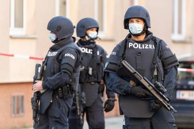 В Австрии задержали еще двоих подозреваемых в причастности к теракту в Вене