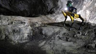Робособаки будут исследовать марсианские пещеры