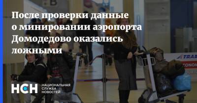 После проверки данные о минировании аэропорта Домодедово оказались ложными - nsn.fm - Домодедово