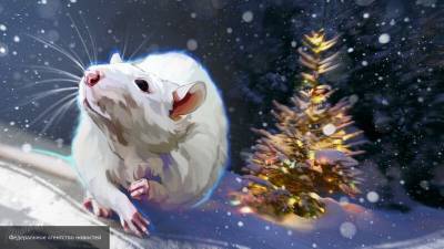 Как правильно проводить год Крысы и встретить год Быка: советы астрологов