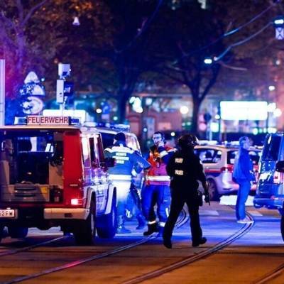 В Вене задержаны еще двое подозреваемых в причастности к ноябрьскому теракту