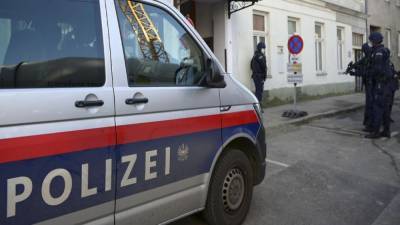 Полиция Вены задержала еще двоих подозреваемых в причастности к теракту