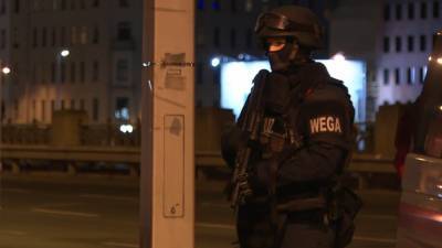 Полиция Австрии задержала еще двух сообщников венского террориста