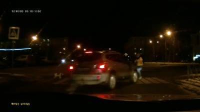 Водитель, увернувшийся от собаки, сбил людей на переходе. Видео