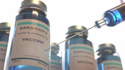 Власти Петербурга откроют электронную запись на прививку от коронавируса