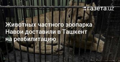 Животных частного зоопарка Навои доставили в Ташкент на реабилитацию