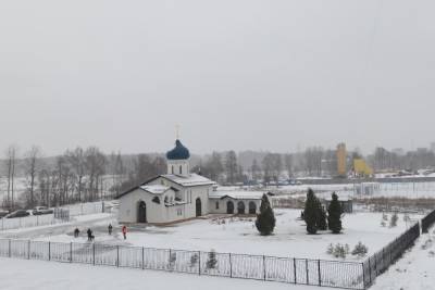 Петербуржцы атаковали в соцсетях церковь, у которой нашли пропавшие посаженные горожанами ели