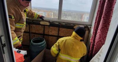 Более 500 летучих мышей обнаружили на балконе квартиры в многоэтажке Днепра (4 фото)