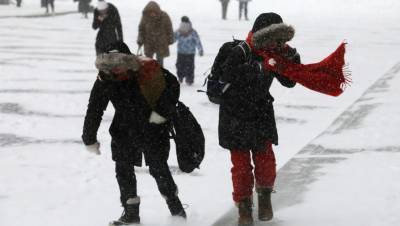 Москвичей предупредили о мощных снегопадах и метелях