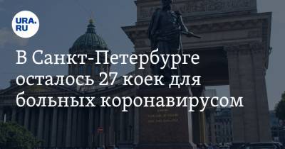 В Санкт-Петербурге осталось 27 коек для больных коронавирусом