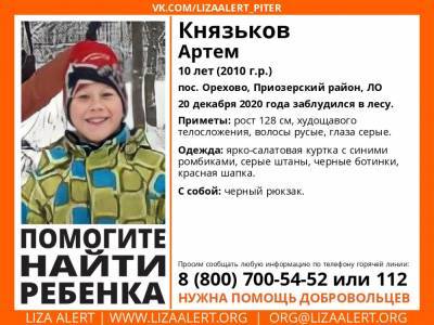 В Орехово 10-летний мальчик заблудился в лесу