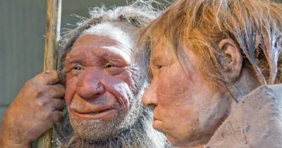 Неандертальцы могли впадать в спячку, чтобы пережить холодную зиму: исследователи сделали открытие