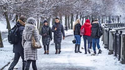 Снегопады и метели ожидаются в Москве в конце следующей недели