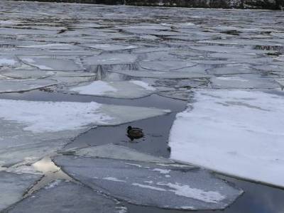 «Вера в бессмертия и безграничная глупость»: петербуржцы устроили опасную рыбалку на тонком льду