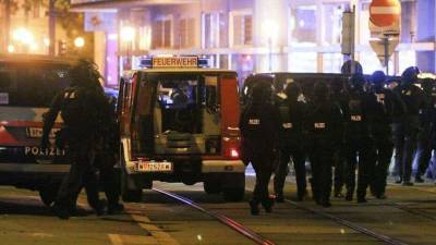 Теракт в Вене: по делу задержали ещё двух подозреваемых