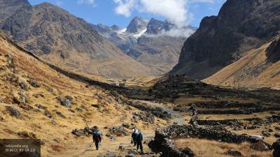 В горных лесах Боливии обнаружили 20 новых видов растений и животных