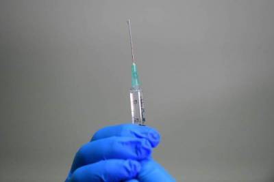 Регистрацию третьей российской COVID-вакцины перенесли на февраль