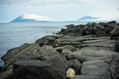 Минобороны разместит на Курильских островах более 50 объектов
