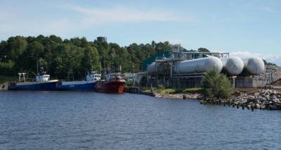 Терминал СПГ в Латвии взвинтит цены: Савицкис считает, что газом должна заниматься Россия