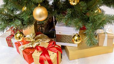 Принцы Гарри и Уильям обменялись подарками в знак «рождественского» перемирия