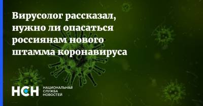 Вирусолог рассказал, нужно ли опасаться россиянам нового штамма коронавируса