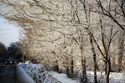 День зимнего солнцестояния наступил в Новосибирской области