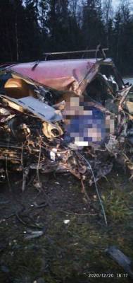 Фото: водитель легковушки погиб после лобового столкновения с большегрузом у Форносово
