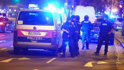 В Австрии задержали двух вероятных сообщников венского террориста
