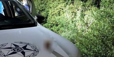 Подозрение на убийство в Самарии: тело женщины найдено в лесу