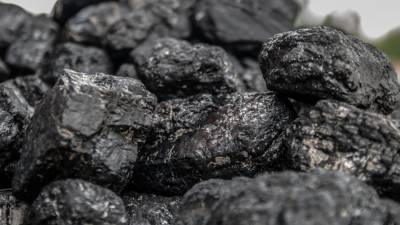 Пушков назвал заслуженными проблемы Латвии с транзитом российского угля