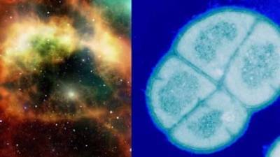 Новые доказательства панспермии – могла ли жизнь попасть на Землю из космоса?