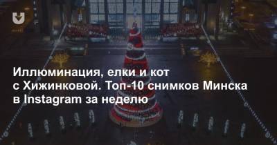 Иллюминация, елки и кот с Хижинковой. Топ-10 снимков Минска в Instagram за неделю